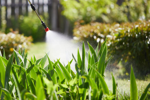 24/7 Emergency Mosquito Control experts in Capitola, CA