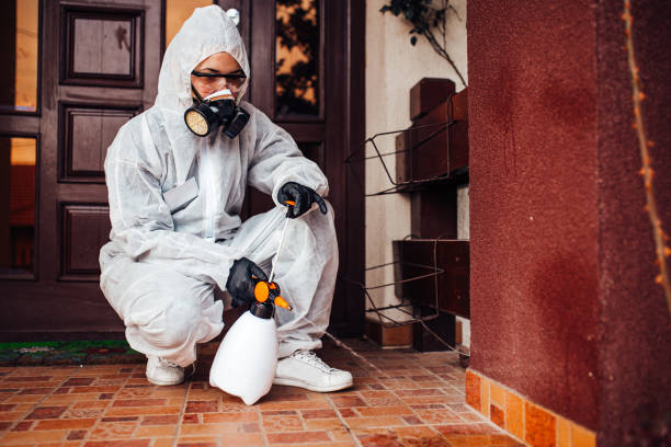 Reliable Mosquito Control contractor in Capitola, CA by Nex Pest Control