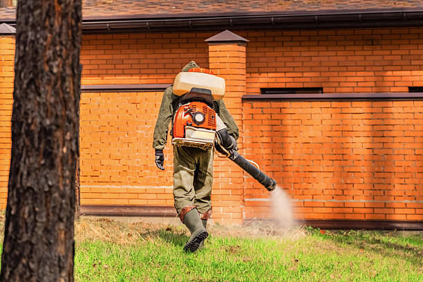 Top rated local Mosquito Control specialists in Capitola, CA